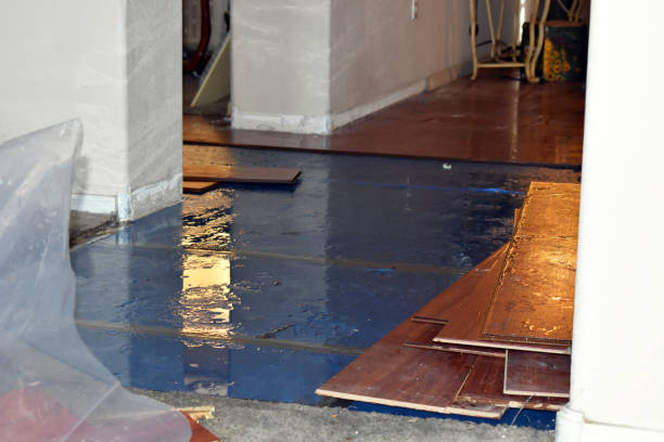 Professional Burst Pipe Cleanup technician working in Buda, TX